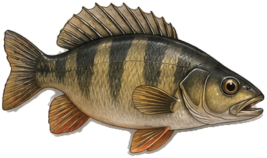 Perch