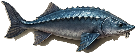 Sturgeon